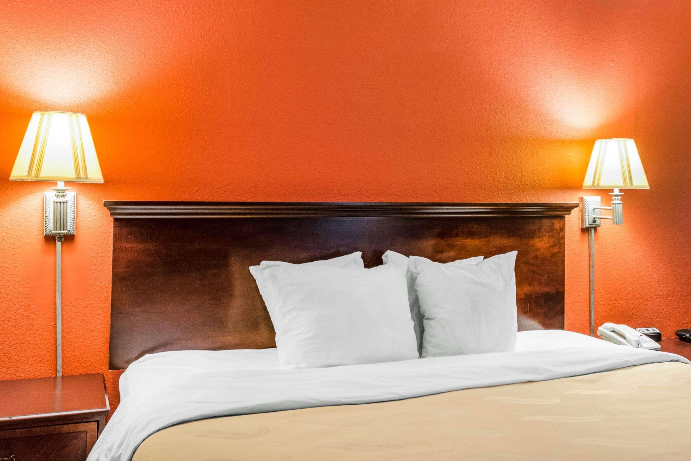 Quality Inn Albany Dış mekan fotoğraf